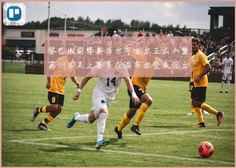 黎巴嫩前锋奥马尔布吉尔正式加盟苏州东吴上赛季在温布尔登表现出色